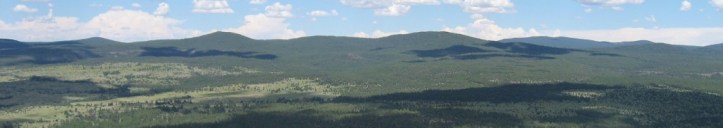 Coconino National Forest, Northern Arizona
