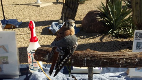 2013-12-21_14-06-19_539