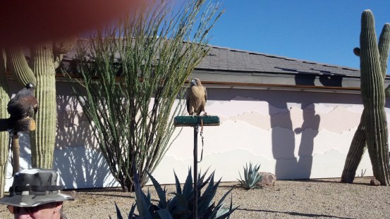 2013-12-21_14-07-24_588