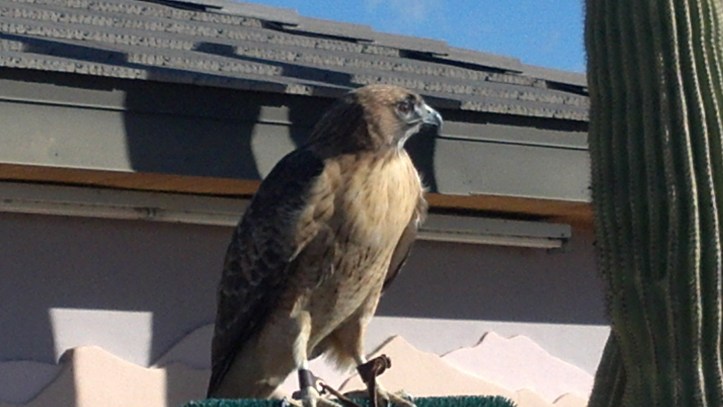 2013-12-21_14-12-58_479