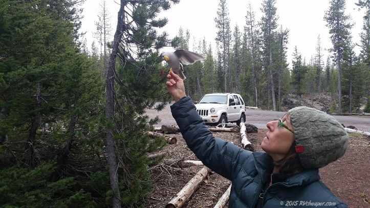 20150513_13414-Hosmer_wm