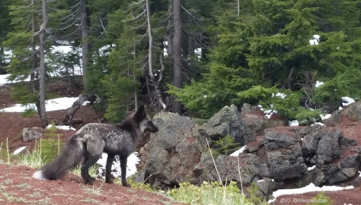 20150513_13415-Hosmer_wm